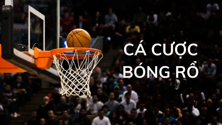 Tham Gia Cá Cược Bóng Rổ SP666: Hướng Dẫn & Kinh Nghiệm Chiến Thắng 2 Tham Gia Cá Cược Bóng Rổ SP666: Hướng Dẫn & Kinh Nghiệm Chiến Thắng